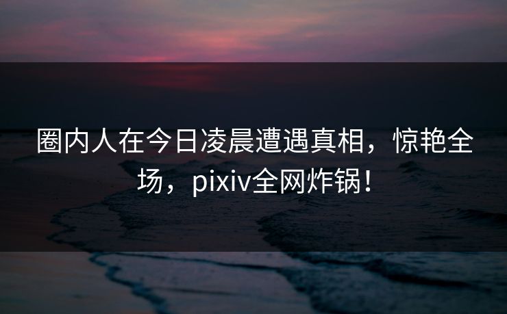 圈内人在今日凌晨遭遇真相，惊艳全场，pixiv全网炸锅！