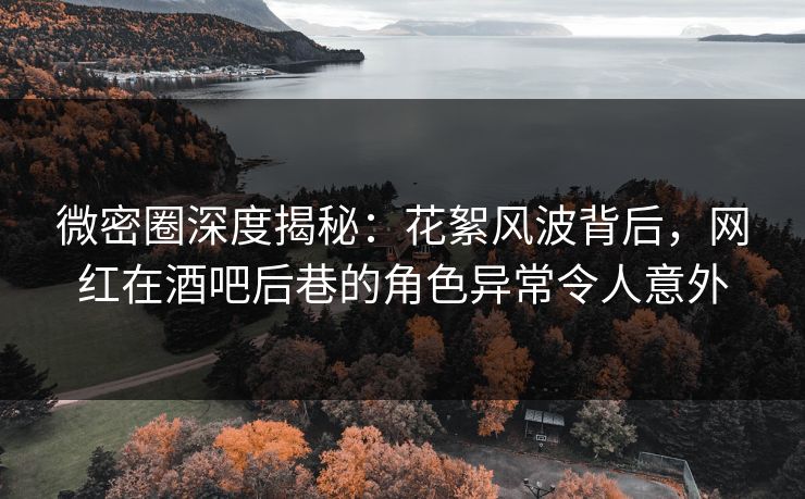 微密圈深度揭秘：花絮风波背后，网红在酒吧后巷的角色异常令人意外