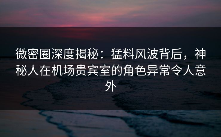 微密圈深度揭秘：猛料风波背后，神秘人在机场贵宾室的角色异常令人意外
