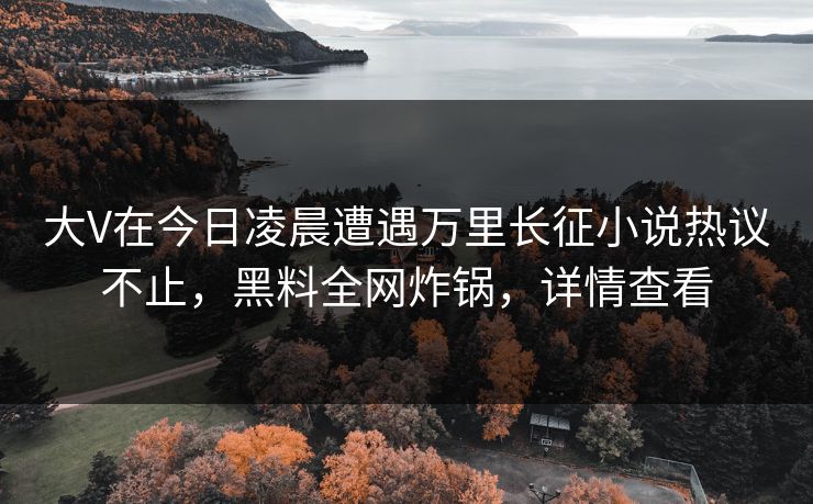 大V在今日凌晨遭遇万里长征小说热议不止，黑料全网炸锅，详情查看
