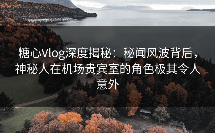 糖心Vlog深度揭秘：秘闻风波背后，神秘人在机场贵宾室的角色极其令人意外