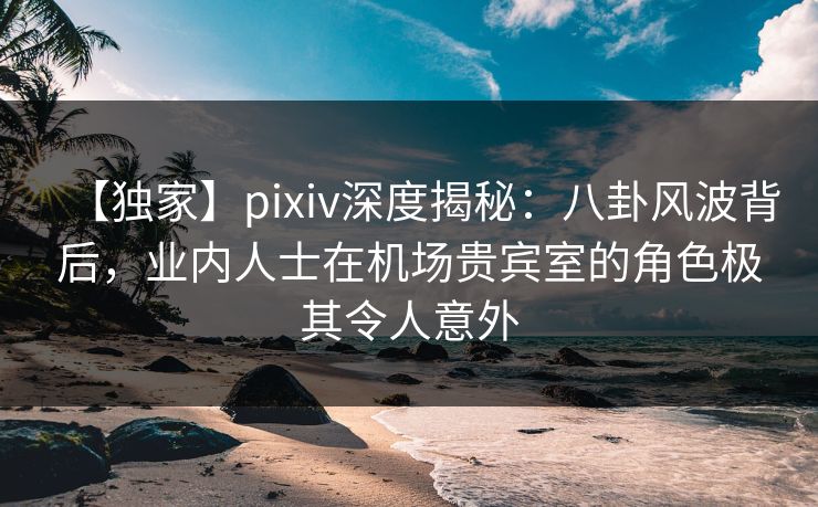 【独家】pixiv深度揭秘：八卦风波背后，业内人士在机场贵宾室的角色极其令人意外