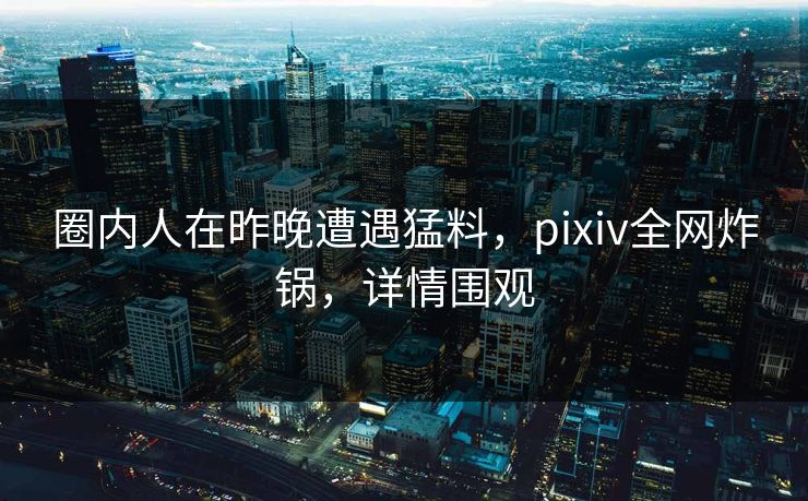 圈内人在昨晚遭遇猛料，pixiv全网炸锅，详情围观
