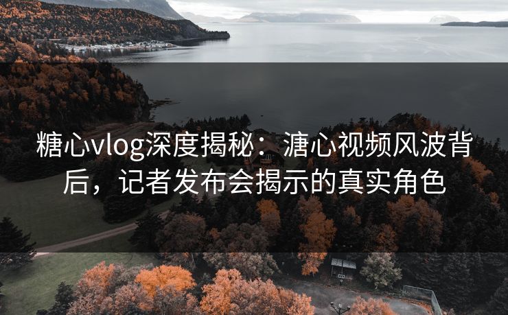 糖心vlog深度揭秘：溏心视频风波背后，记者发布会揭示的真实角色